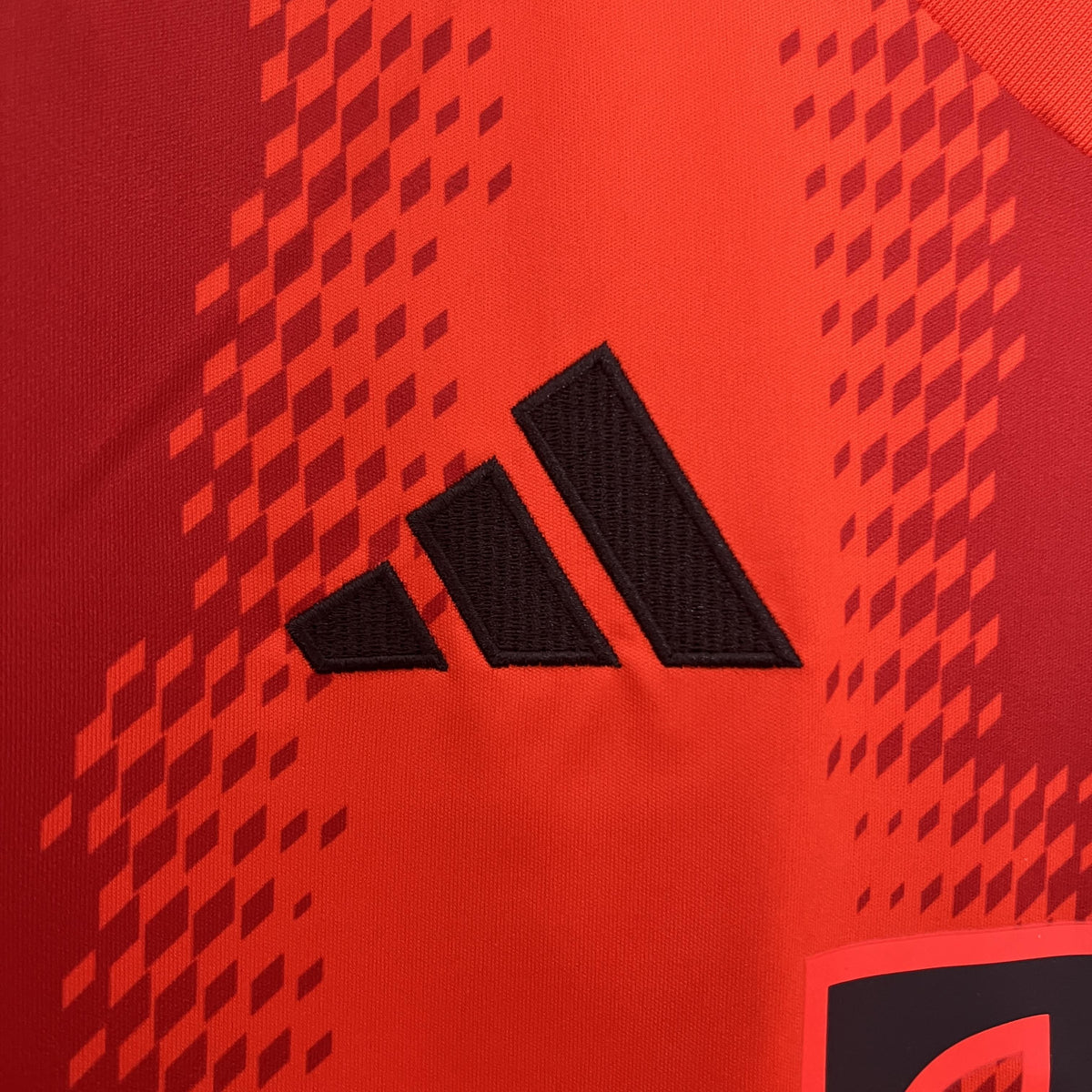 BAYERN MUNICH LOCAL 24-25