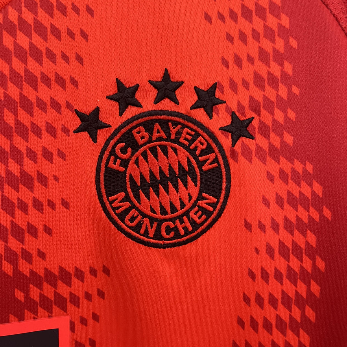 BAYERN MUNICH LOCAL 24-25
