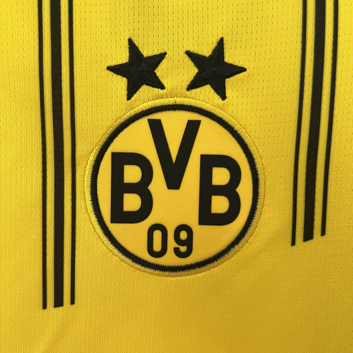 BORUSSIA DORTMUND LOCAL 24-25