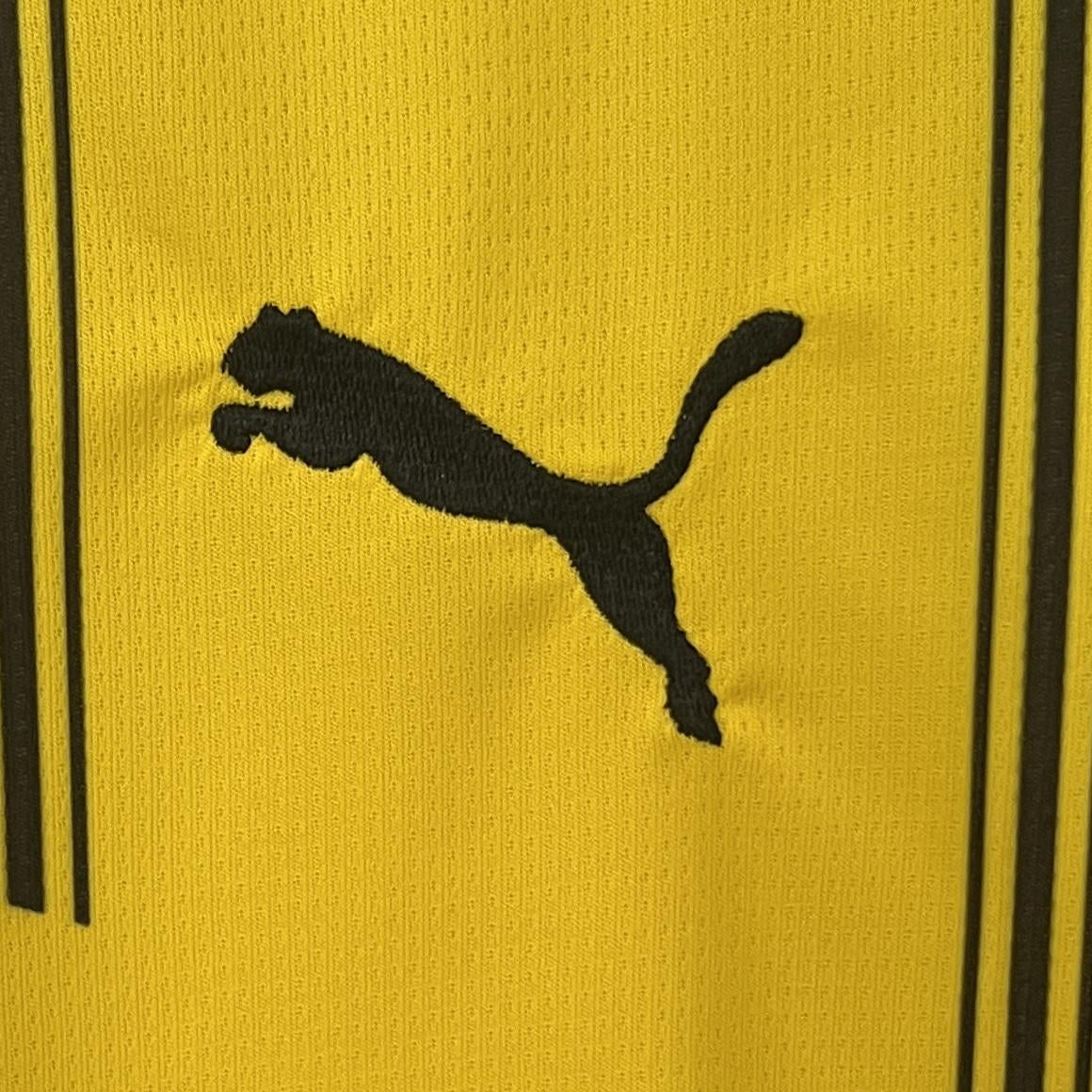 BORUSSIA DORTMUND LOCAL 24-25