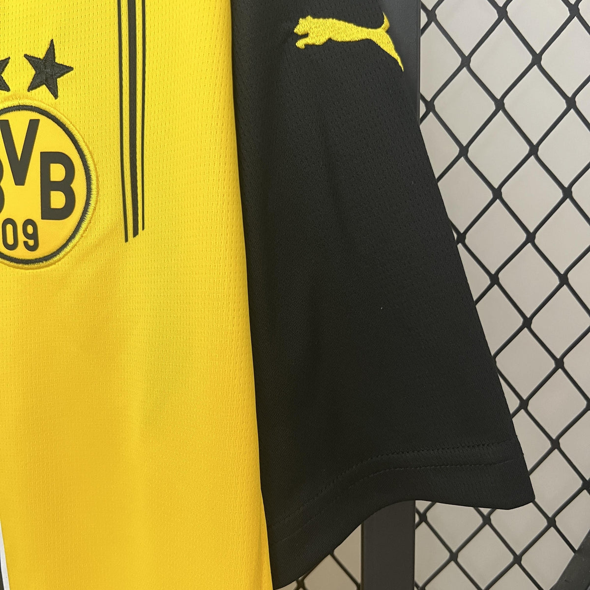 BORUSSIA DORTMUND LOCAL 24-25
