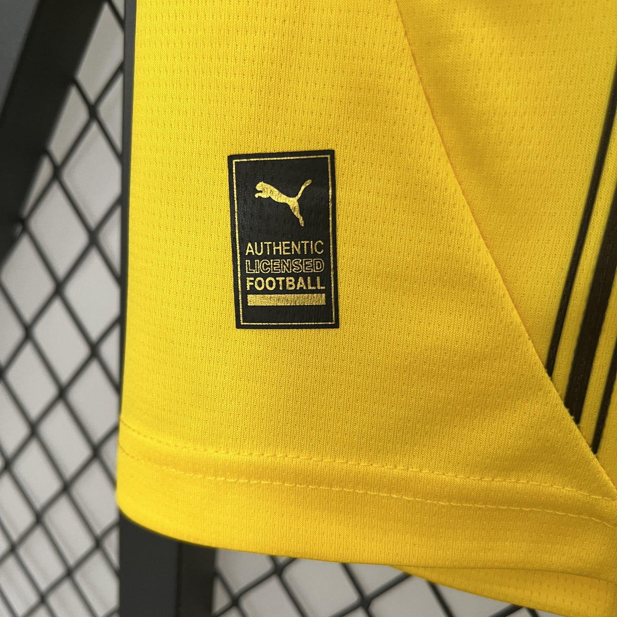 BORUSSIA DORTMUND LOCAL 24-25